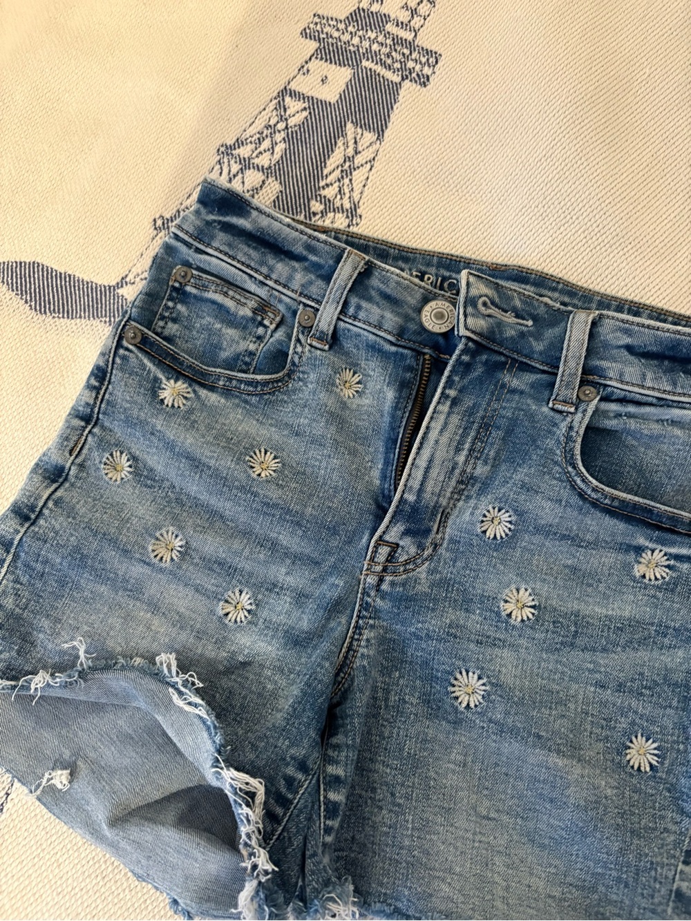 Denim Shorts with Daisy Embroidery